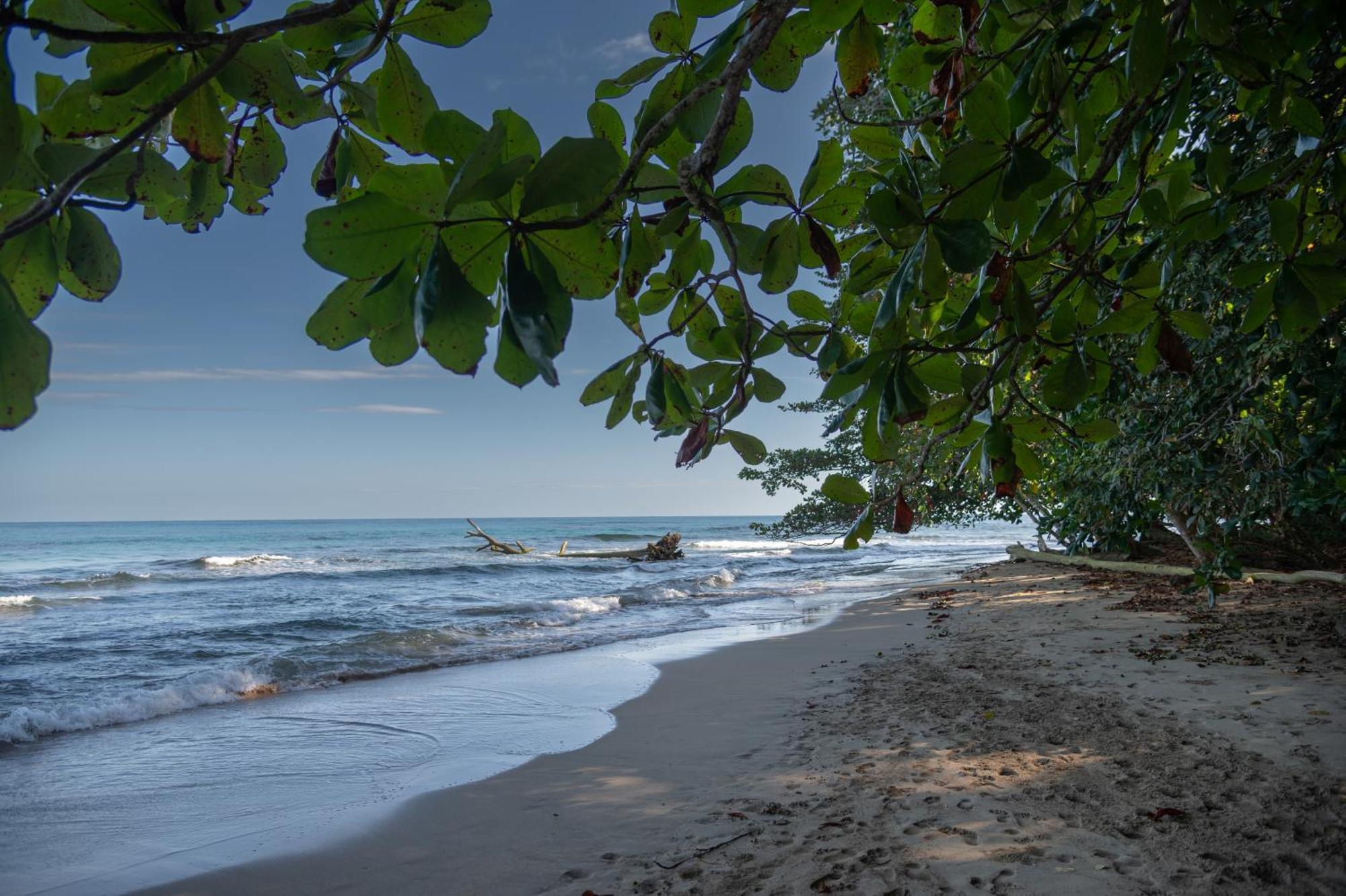 Le Cameleon Boutique Hotel Puerto Viejo de Talamanca Zewnętrze zdjęcie