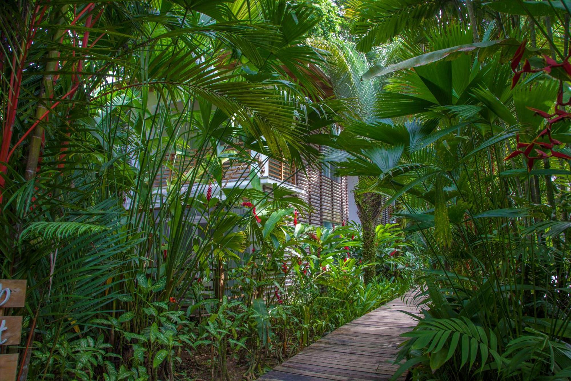 Le Cameleon Boutique Hotel Puerto Viejo de Talamanca Zewnętrze zdjęcie