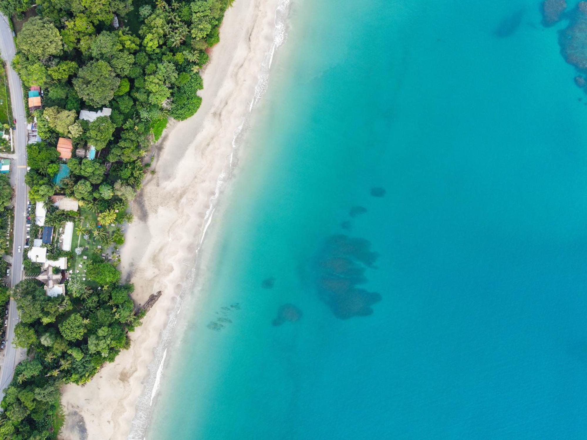 Le Cameleon Boutique Hotel Puerto Viejo de Talamanca Zewnętrze zdjęcie
