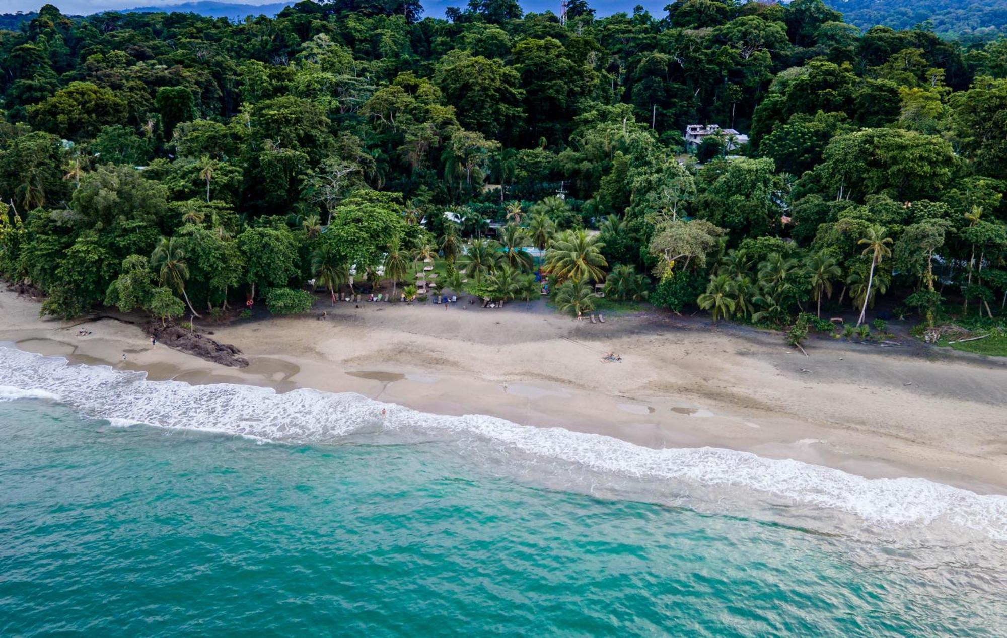 Le Cameleon Boutique Hotel Puerto Viejo de Talamanca Zewnętrze zdjęcie